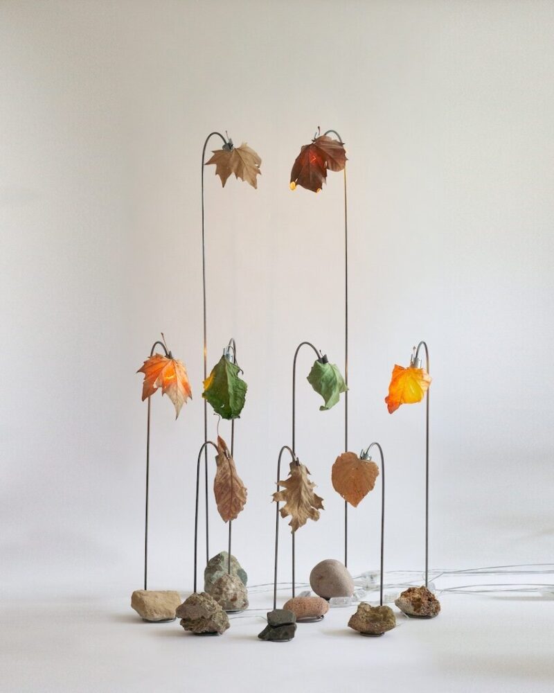 2024 წლის TOP 10 მკითხველის რჩეული – დიზაინის პროდუქტები