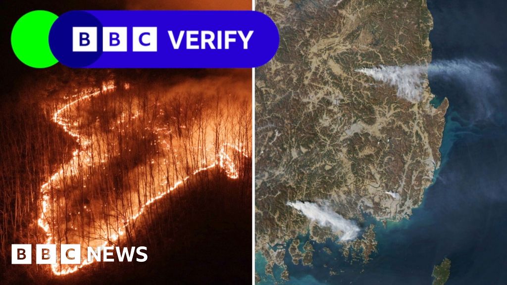 სამხრეთ კორეაში ხანძრების სწრაფი გავრცელების მიზეზები