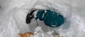 სნოუბორდისტი თოვლში თავდაყირა ჩაეფლო: სათხილამურო სპორტსმენის სწრაფი რეაგირება