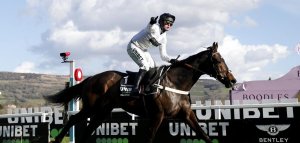 კონსტიტუშენ ჰილი ჩელტენჰემის ტიტულის დაბრუნებას შეეცდება