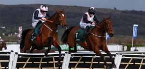 ბლექმორმა "ბობ ოლინჯერით" ჩელტენჰემში დუბლი შეასრულა