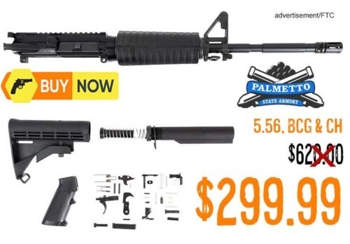 შეღავათიანი AR15